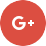 Google+